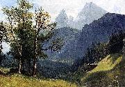 Tyrolean Landscape